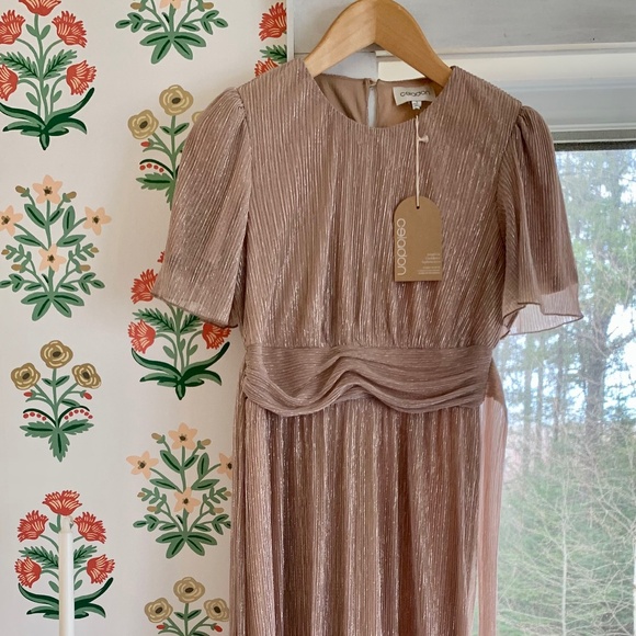 Pink Blush Champagne Crinkle Maxi - Picture 1 of 3